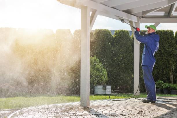 Best Fence Cleaning  in Lepanto, AR