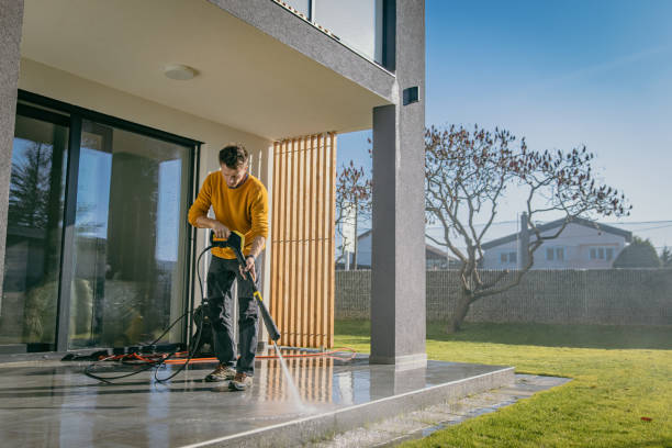 Best Roof Washing  in Lepanto, AR